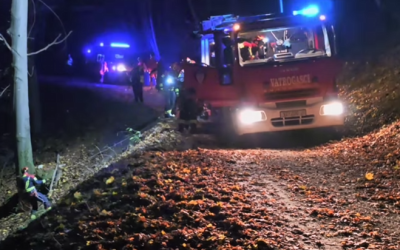 Snimka zaslona 2025-10-29 233132